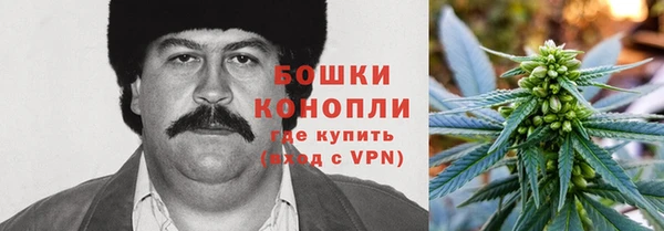 первитин Богородск