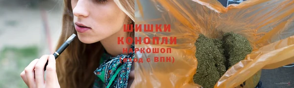 ECSTASY Богданович