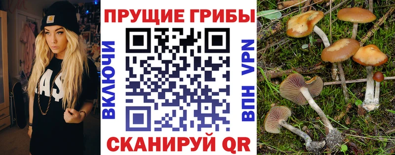 Галлюциногенные грибы GOLDEN TEACHER  Кохма 